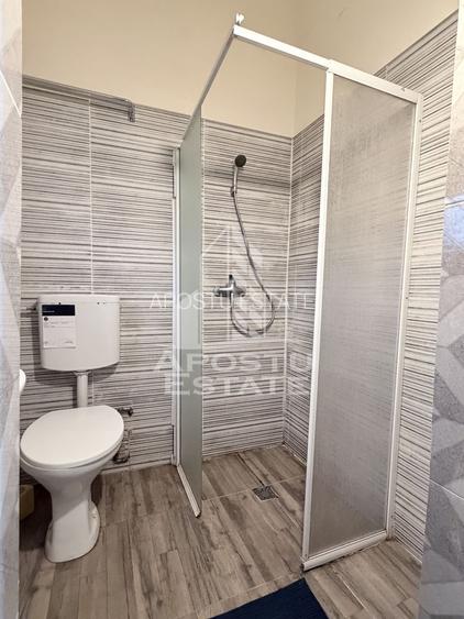 Casa la curte comuna Dambovita malul Begai - 6