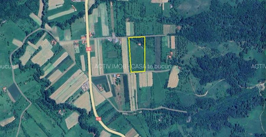 Borlovenii Noi, Teren Drept, 16000mp, la Limita Localitatii - 8