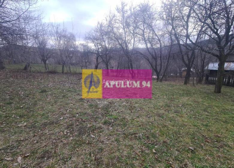 Teren de vanzare in Comarnic (zona Poiana) - 5