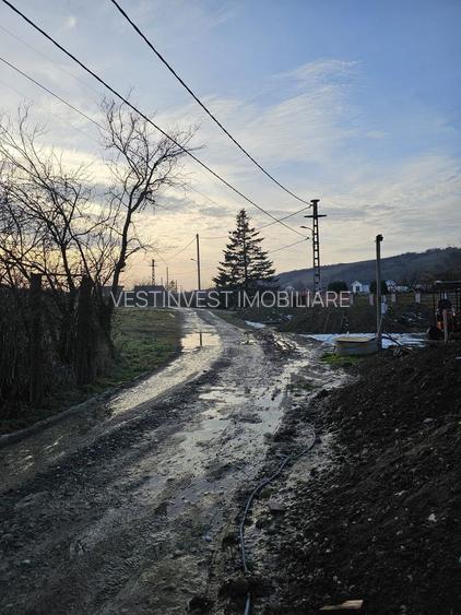 Casa Oncea cu teren 800 mp - 8