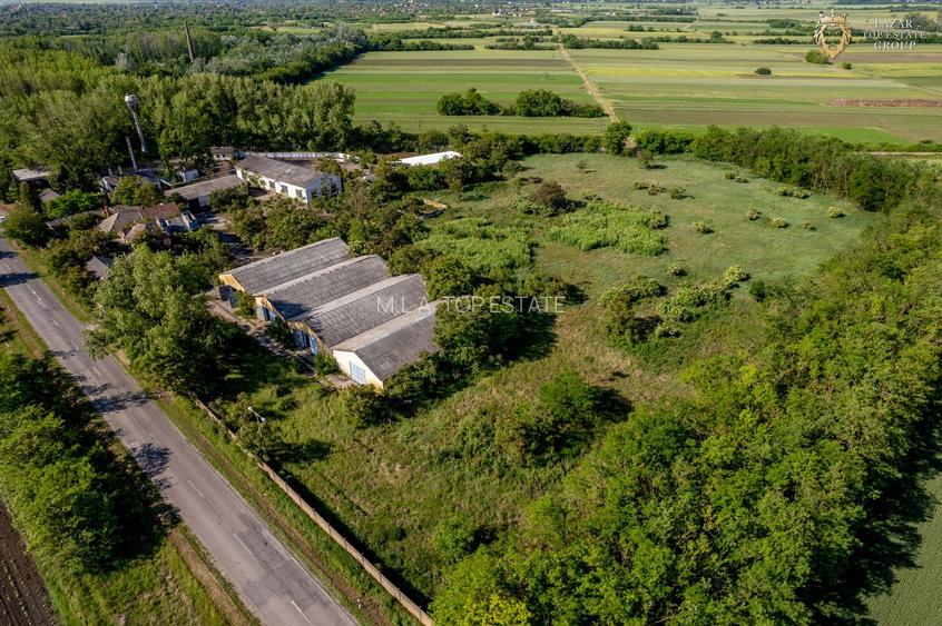 Cladire industriala de vanzare cu potential 3,5 ha in Batania - 23