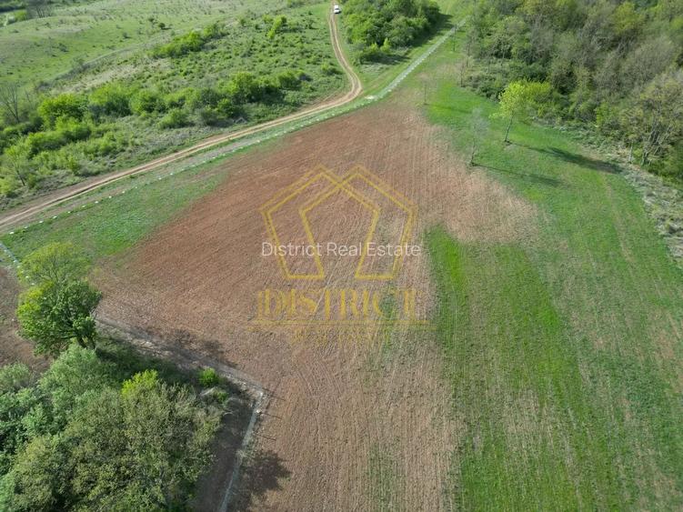 Casa de vacanta cu teren si padure de 3.8ha | Nadas | Herneacova - 8