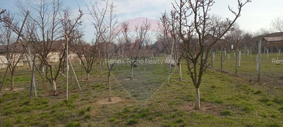 Teren Vladimirescu-  Zona Excelenta  2954 MP INTRAVILAN!!! - 5