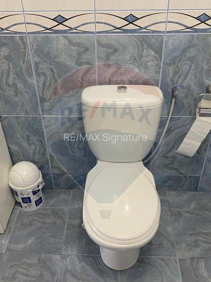Casă / Vilă cu 5 camere de vânzare în zona Central - 45