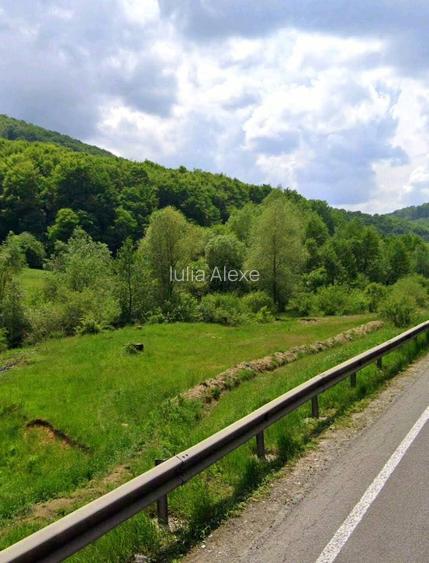 Ultimul teren intravilan Valea Măierușului | PUZ turistic aprobat | COMISION 0% - 2