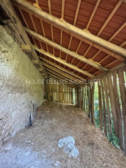 Casa de vacanta, cu 4 camere Gârnic, Caraș-Severin - 7