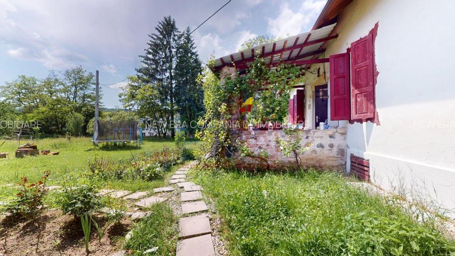 CONACUL GEORGE STEPHANESCU - 14