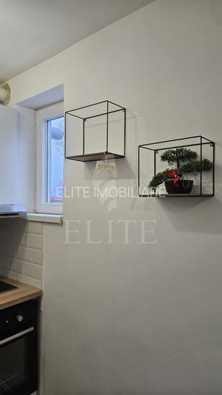 Apartament 2 camere în zona strazii Ariesului - 5