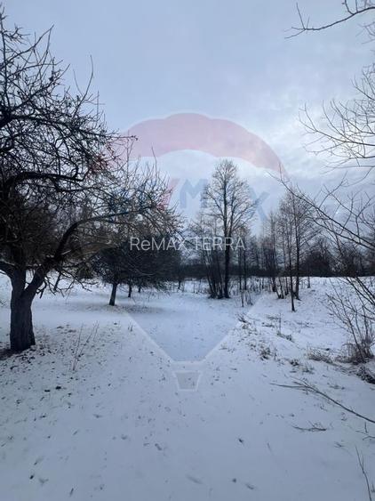 Teren de vanzare in Manastirea - 3