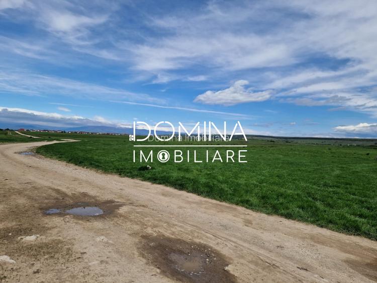 Vânzare teren extravilan 25.254 mp, situat în localitatea componentă Preajba - 5
