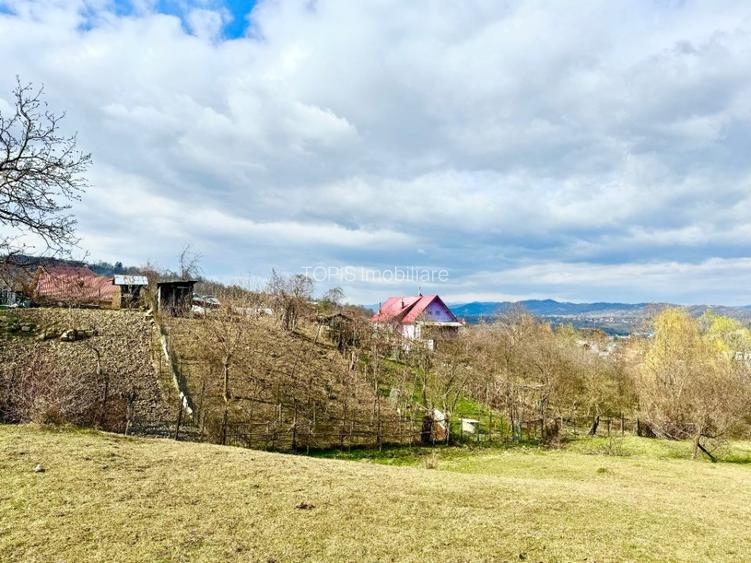 PROIECTUL TAU AICI / Poiana Campina / 8200 Mp/ Utilitati / Rasaritul Perfect - 11