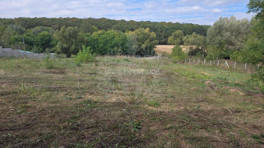 TEREN INTRAVILAN//COM. PLOPU//1300//2700 MP - 5