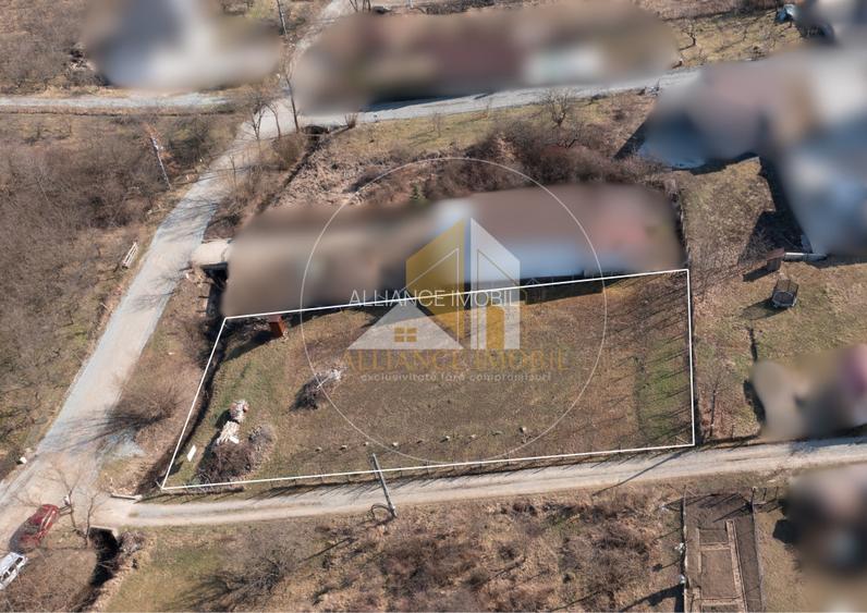 Teren intarvilan de vanzare - Valea Rusului. - 3