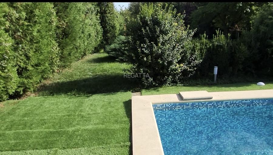 VILA IMPRESIONANTA CU ACCES LA LAC si PISCINA - 30