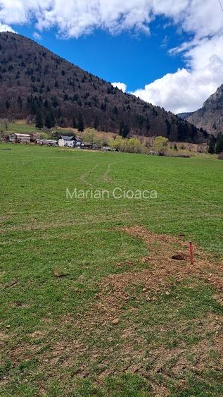 Teren intravilan de vânzare la munte ! - 11