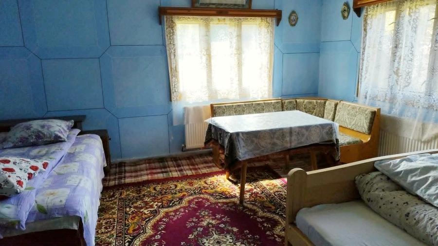 Oportunitate Apuseni: 7553mp cu parau, casa, anexe la 2km de Ghețarul Scarisoara - 12
