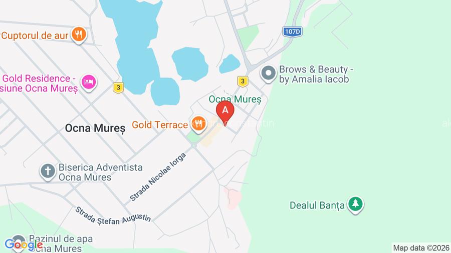 Apartament-La cheie Modern - 17