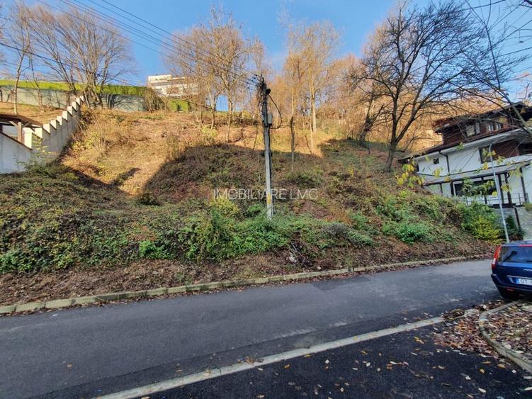 ZONA DEOSEBITA CU MULTA VERDEATA - 4