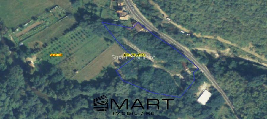 Teren extravilan 7432 mp, cu cabana de lemn Capalna AB - 2