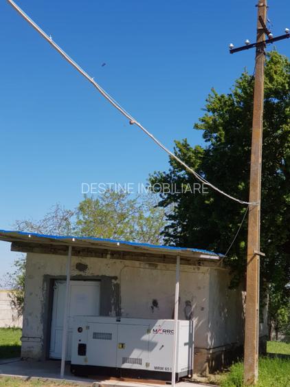 AFACERE LA CHEIE  FERMA DE  PORCI - 8