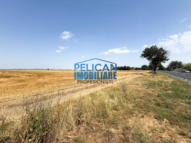 Teren intravilan M. Kogalniceanu, 4000MP, la drumul national - 7