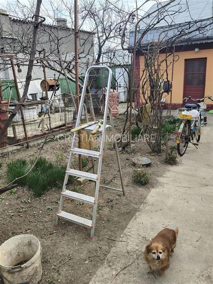 Casa 3 cam teren 250 mp deschidere 16 m Brailita - 5