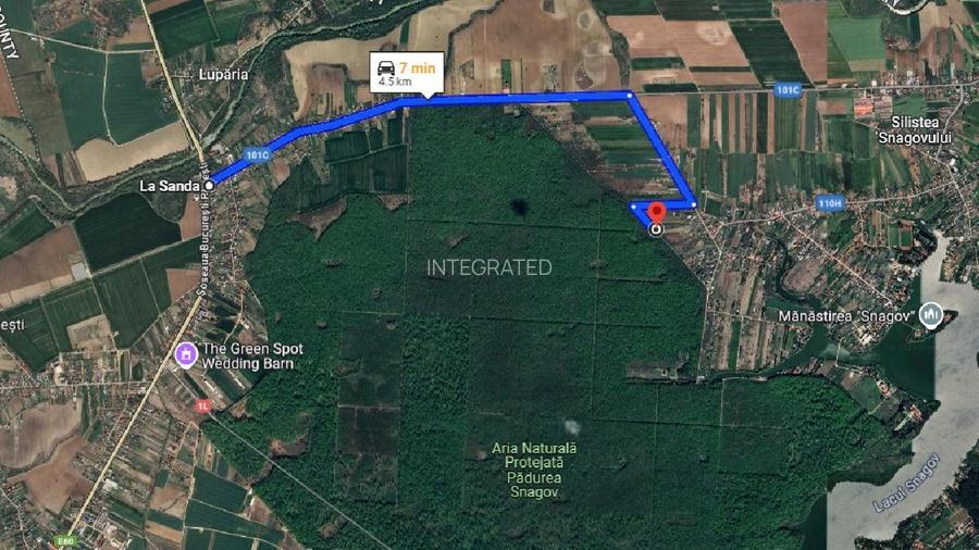 Teren intravilan 2000 mp,  Silistea Snagovului - Front PADURE( 38 ml Front  - 4