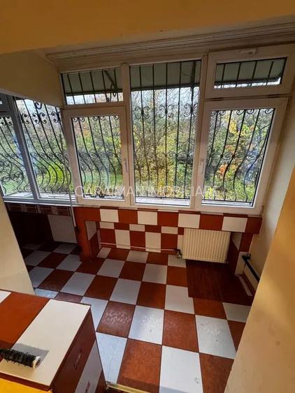 Tineretului, vizavi Palatul Copiilor si Parc Tineretului - 2