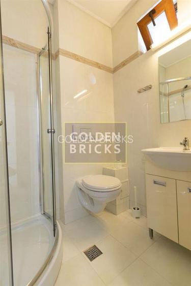 Piata Victoriei | Parter si etaj in vila | Garaj | 160mp - 15