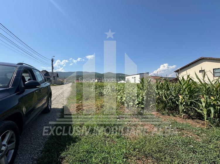 Teren intravilan | De vanzare | 5000 mp | 150 ml deschidere | Micesti - 6