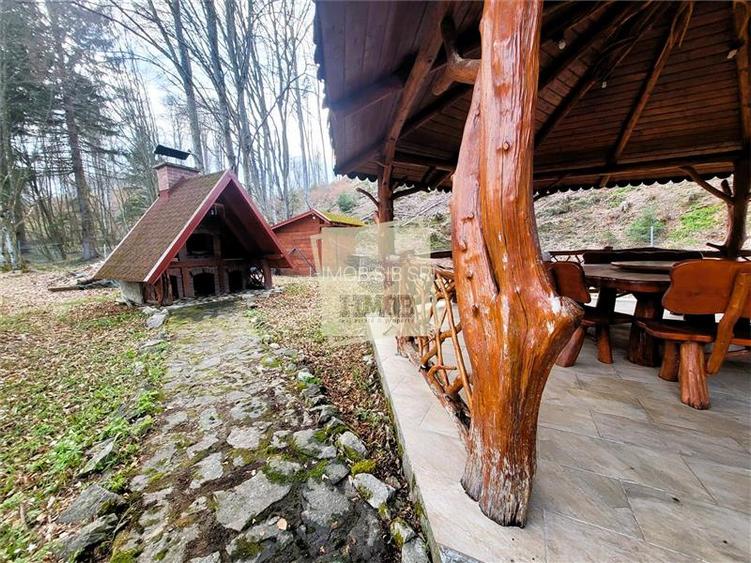 Refugiu rustic in natura – proprietate deosebita in Valea Avrigului – Sibiu - 5