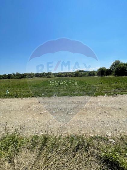 TEREN  INTRAVILAN  5000mp ORAS CISNADIE  STR. SELIMBARULUI - 11