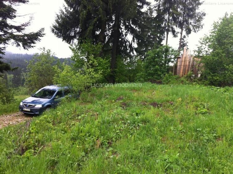 Teren intravilan Cotul Donului,pretabil Hotel/pensiune. - 5