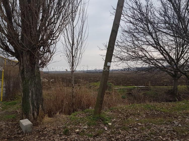 Glina, str. Morii, teren intravilan 10000 mp - 5