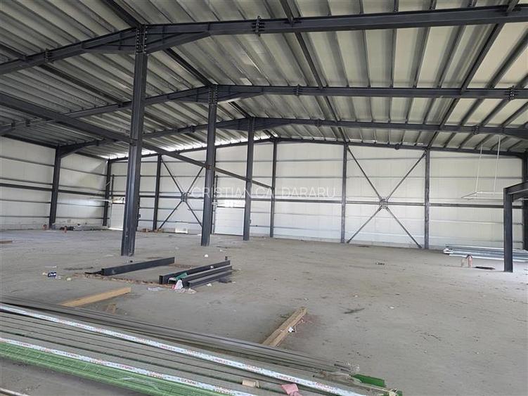 Vanzare depozit/hala/spatiu industrial Otopeni - Centura, Ilfov - 12