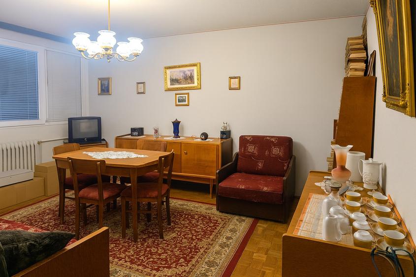VANZARE AP 2 CAM SALA PALATULUI