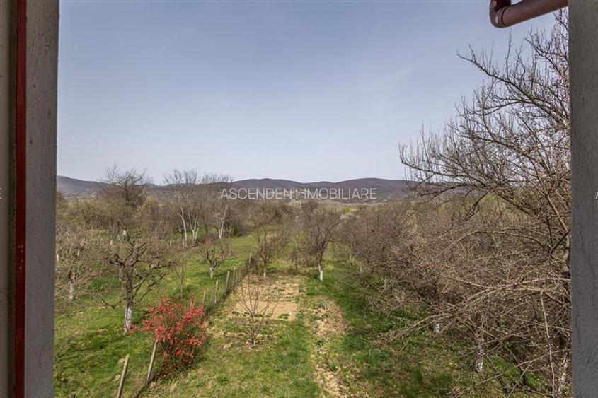 FILM! Casa  pe domeniu de 3.117 mp, Viperesti  Buzau - 21