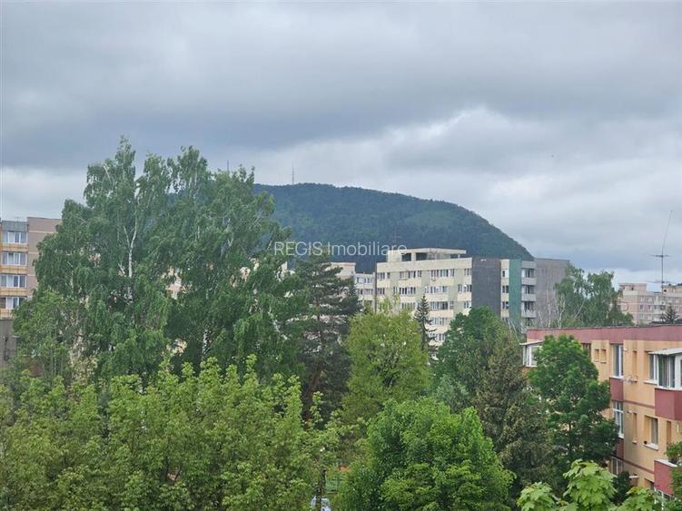 Apartament 2 Camere Astra cu Vedere Tampa - 5