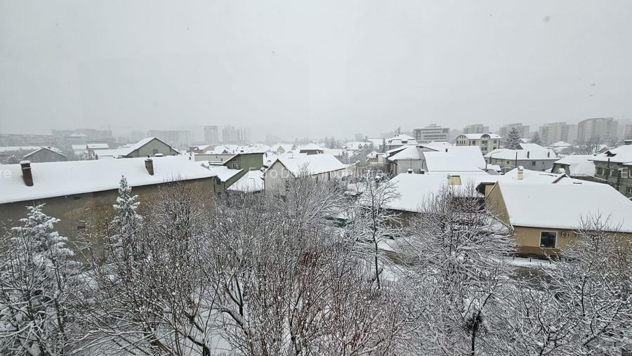 La 5 minute de Centru Civic, apartament pet friendly - 15