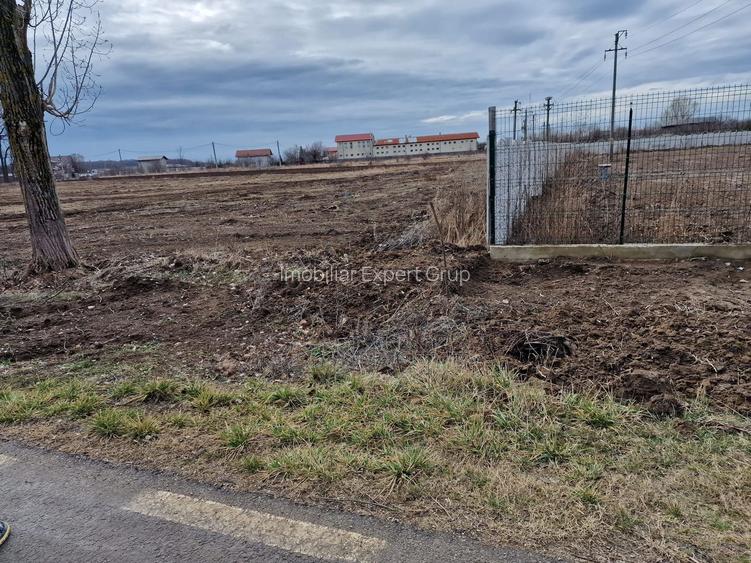 Ciolpani adiacent  DN1  teren  12800 mp  parcelabil  toate utilitatile - 2