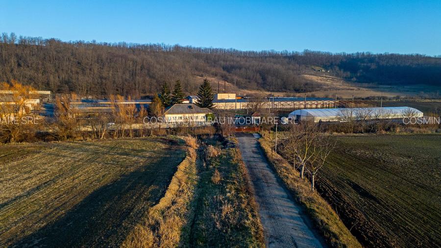 Fosta Ferma a Partidului de la Horgesti - de vanzare - 13