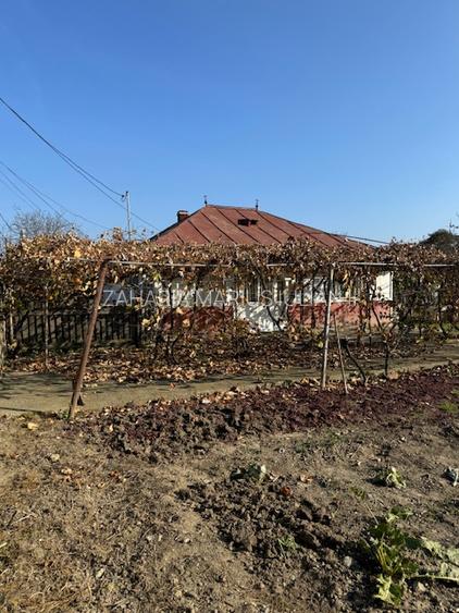 Casa cu 807 mp teren de vanzare, SERBANESTI,  str. Spicului-Bacau - 12