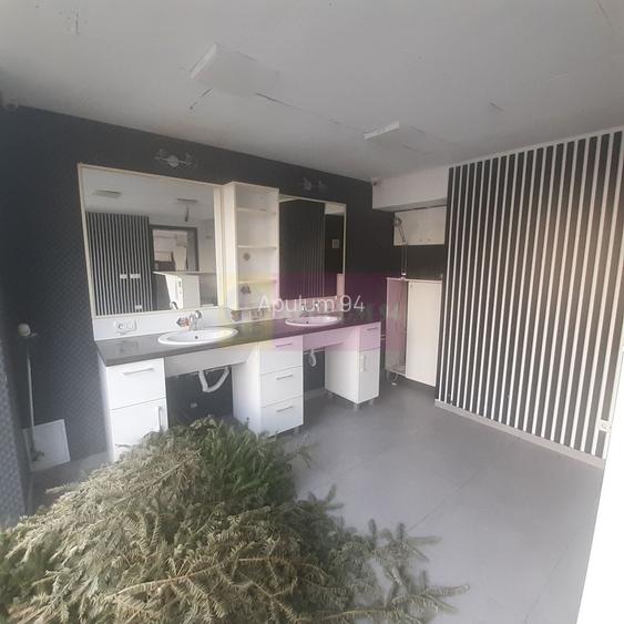 Spatiu Comercial Stradal Șoseaua Colentina zona Teiul Doamnei Suveica - 59