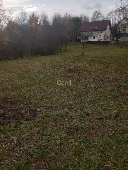 Vând teren intravilan 4062 mp - 7