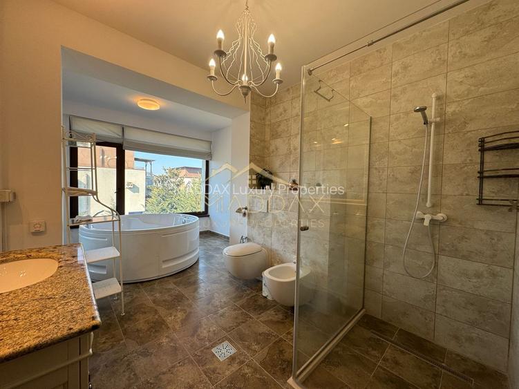 Vilă impresionantă *teren 1000mp // Erou Iancu Nicolae - 47