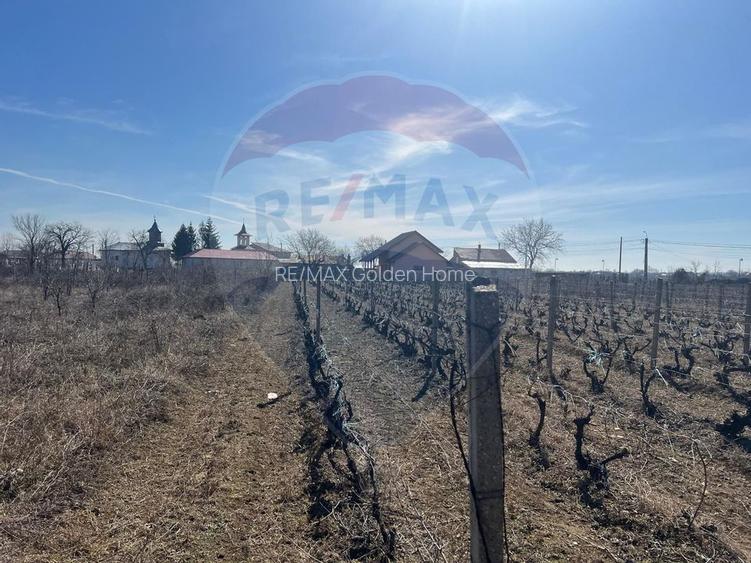 Teren intravilan Unirea Odobesti / Strada Grozesti - 9