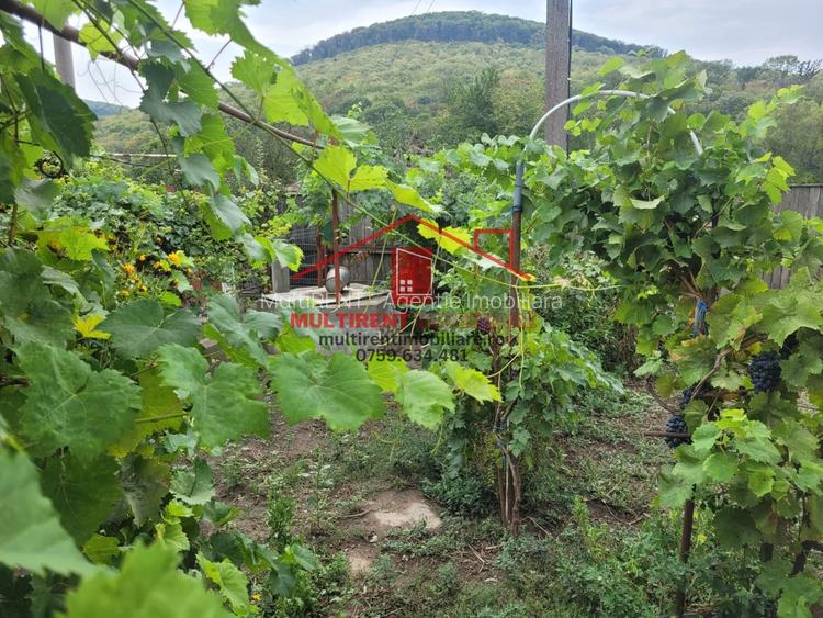 Casa in Telita cu vedere spre padure! - 2