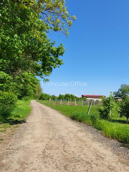 Golf Natural de Pădure Teren Unic  doar la Snagov - 5