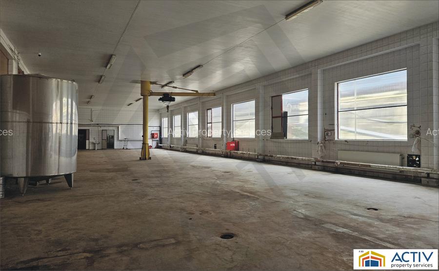 Spatiu industrial de inchiriat Sibiu Marsa - 5