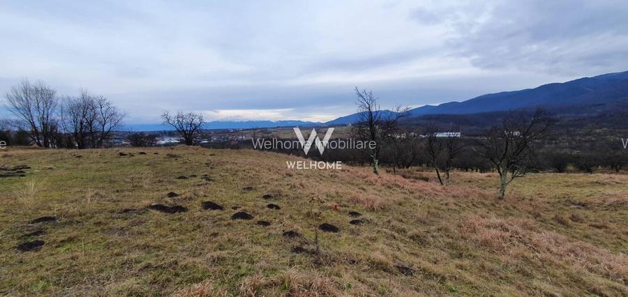 Rădăcini noi, visuri vechi- Teren de vanzare in Cisnadioara, Sibiu - 4